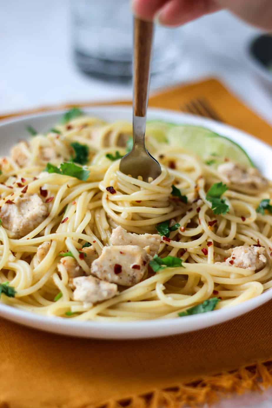 a plate with pasta being twirled around a fork